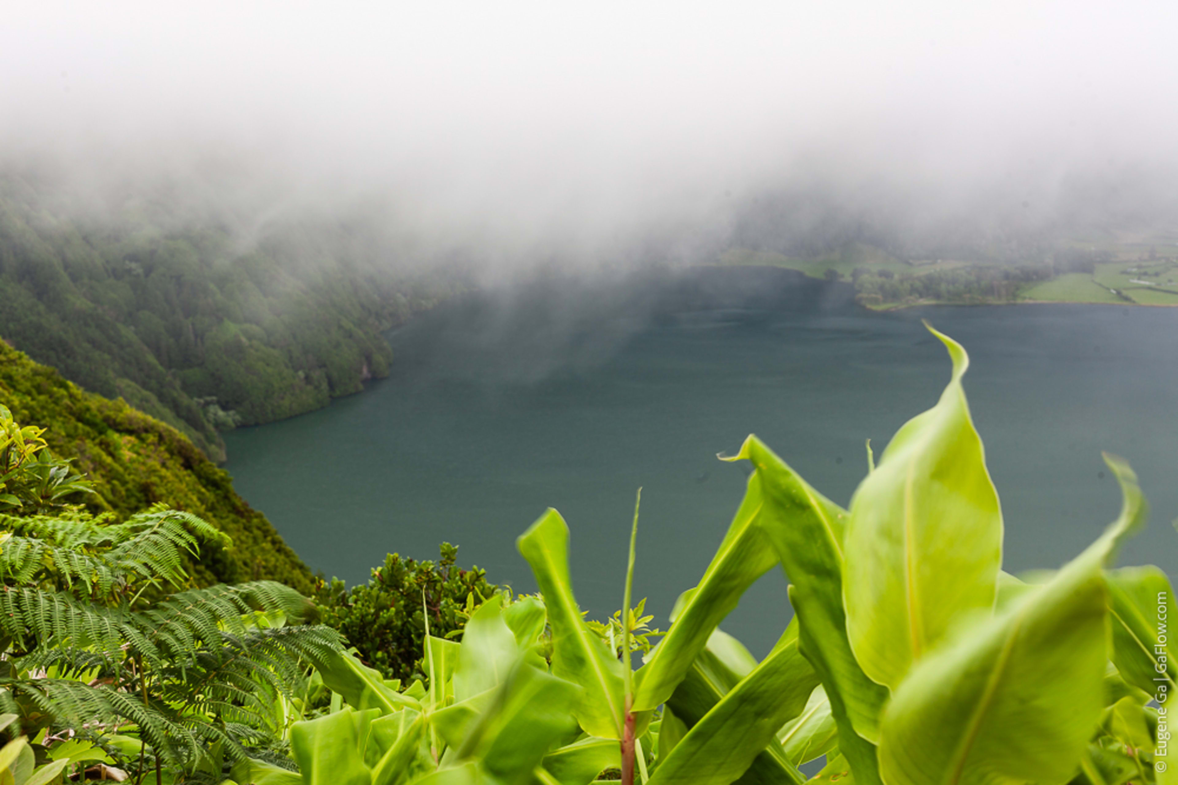 Cloudy Green