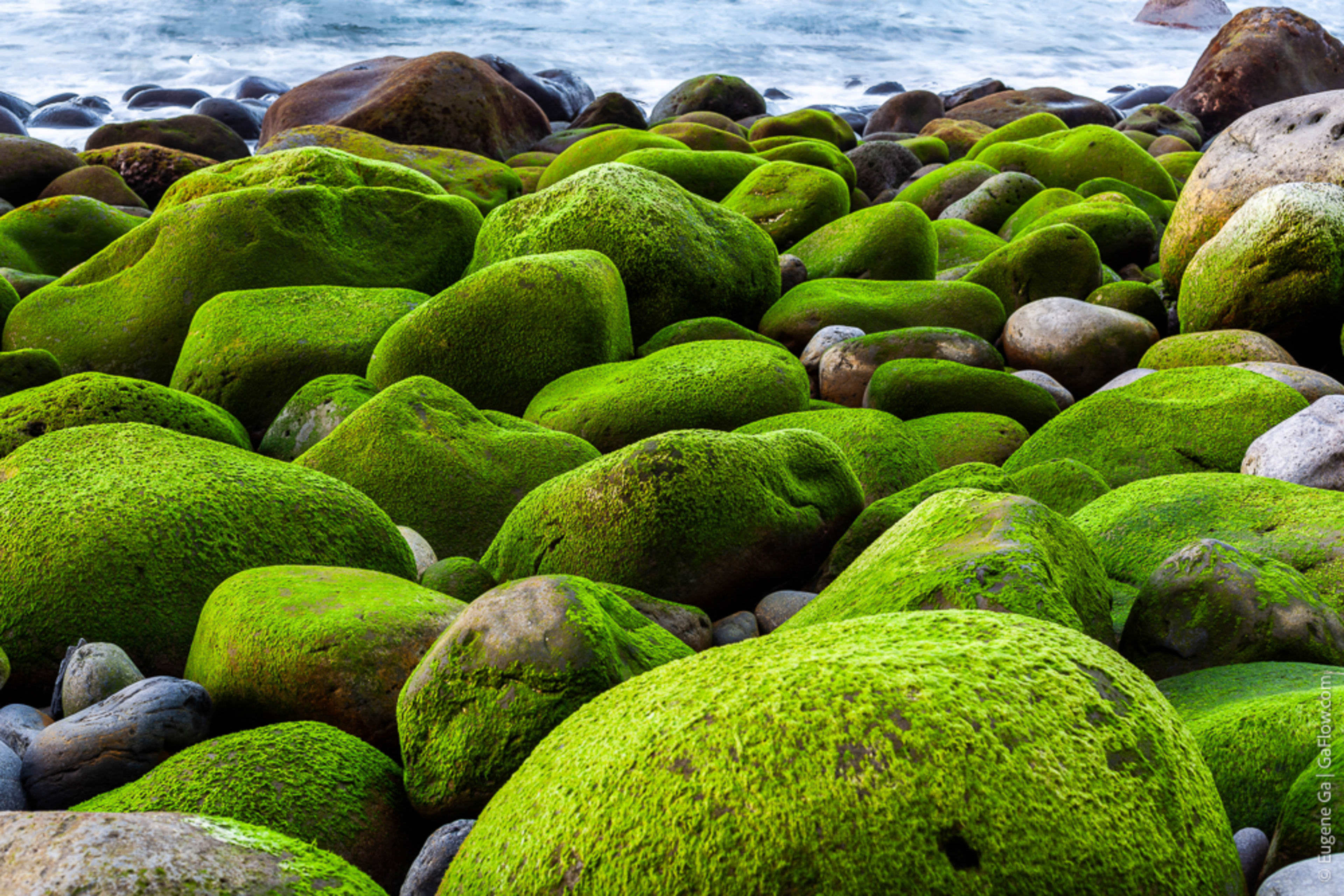 Coastal Rocks
