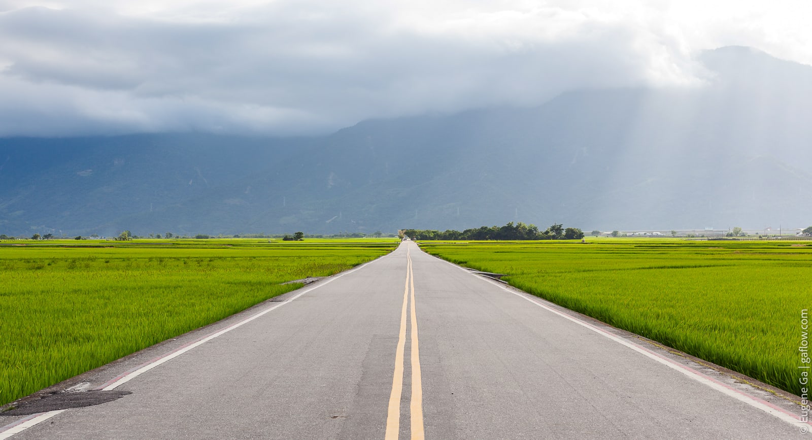 Green Hwy