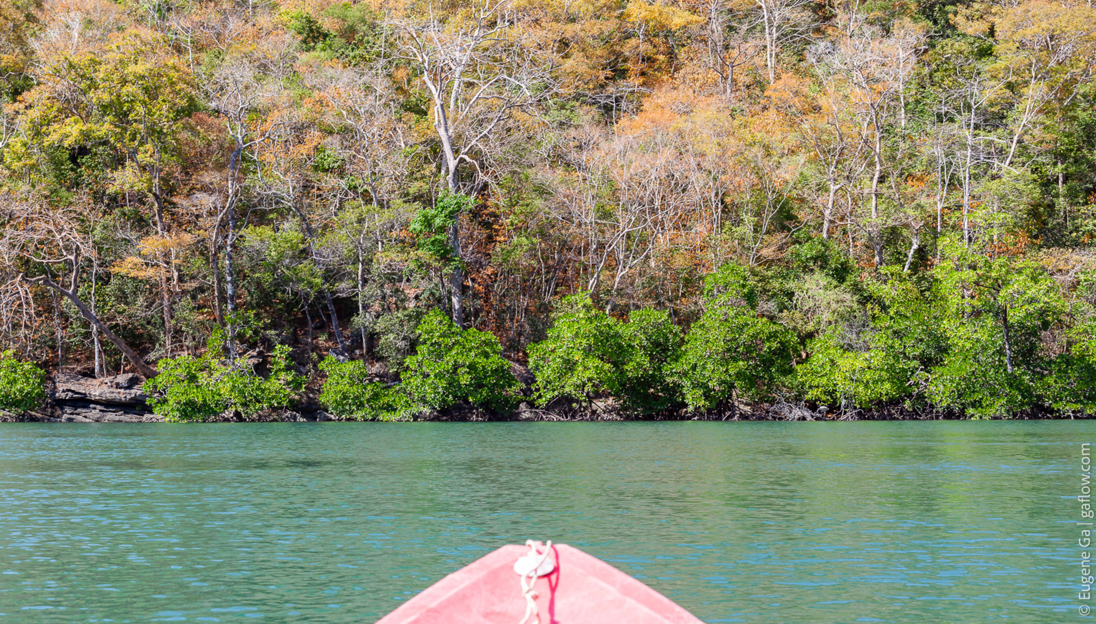 Kayaking Mangroves