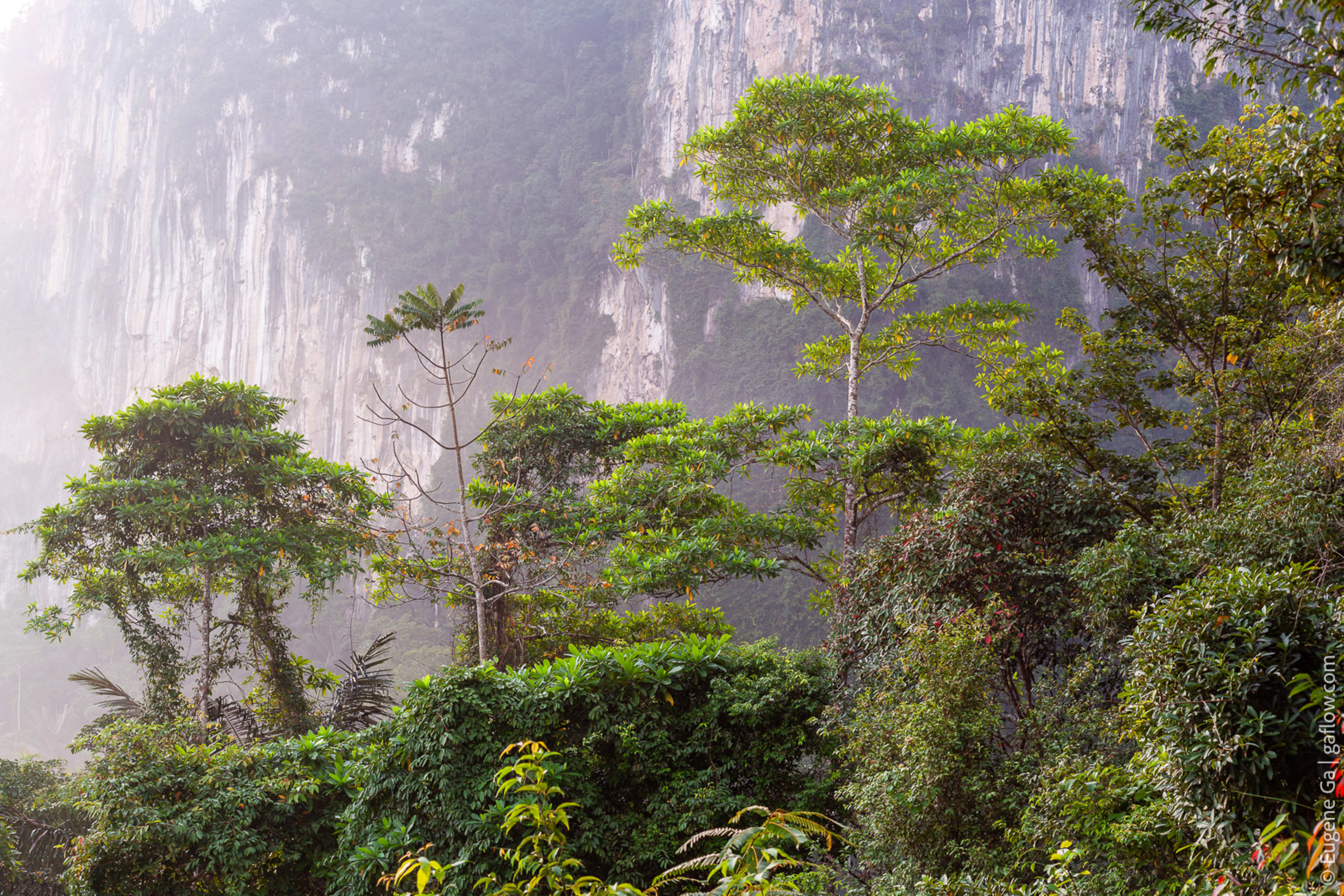 Khlong Phanom National Park