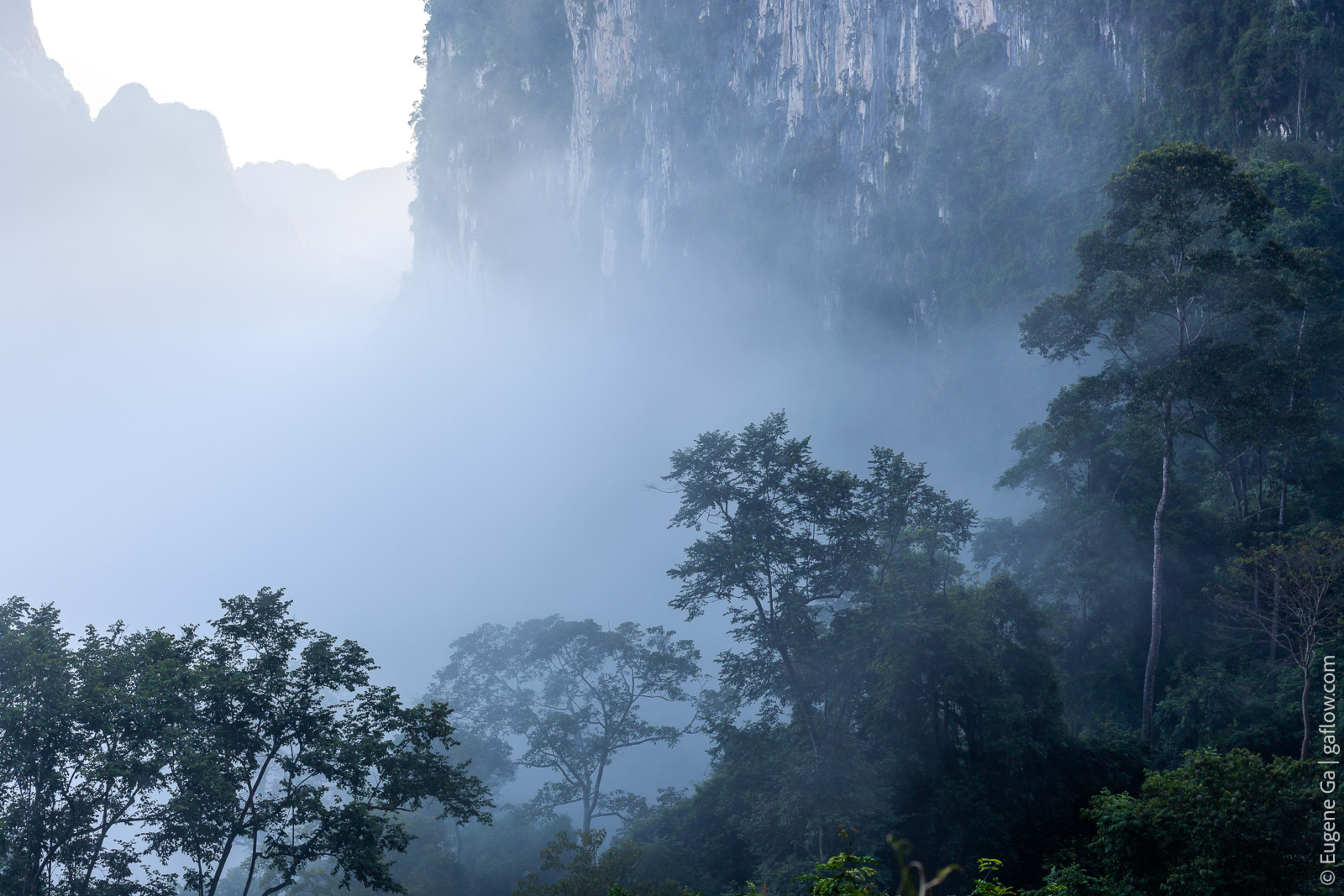 Khlong Phanom National Park