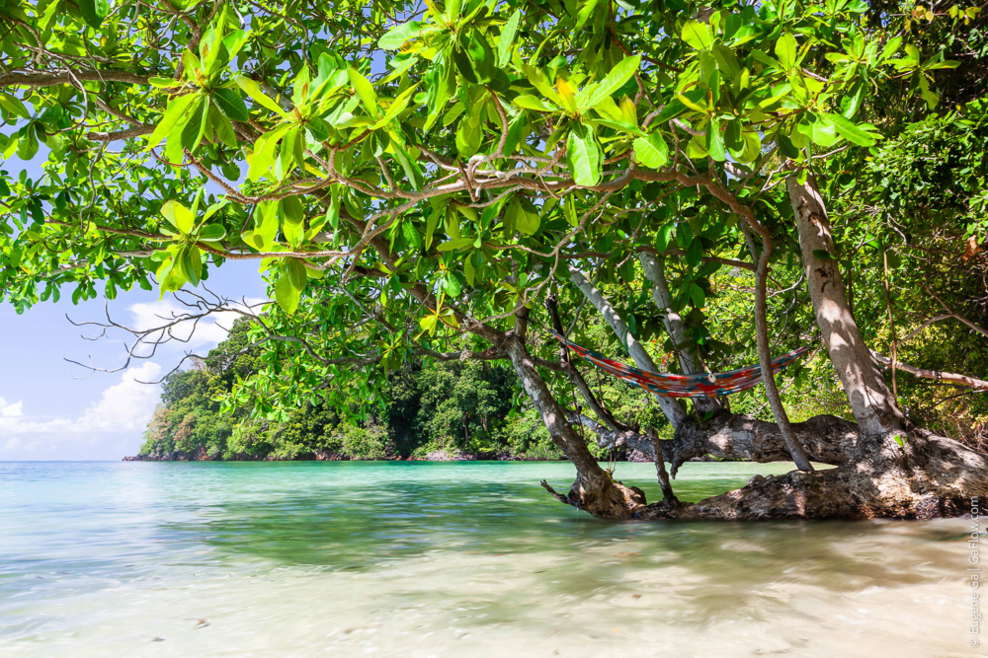 Koh Hammocking