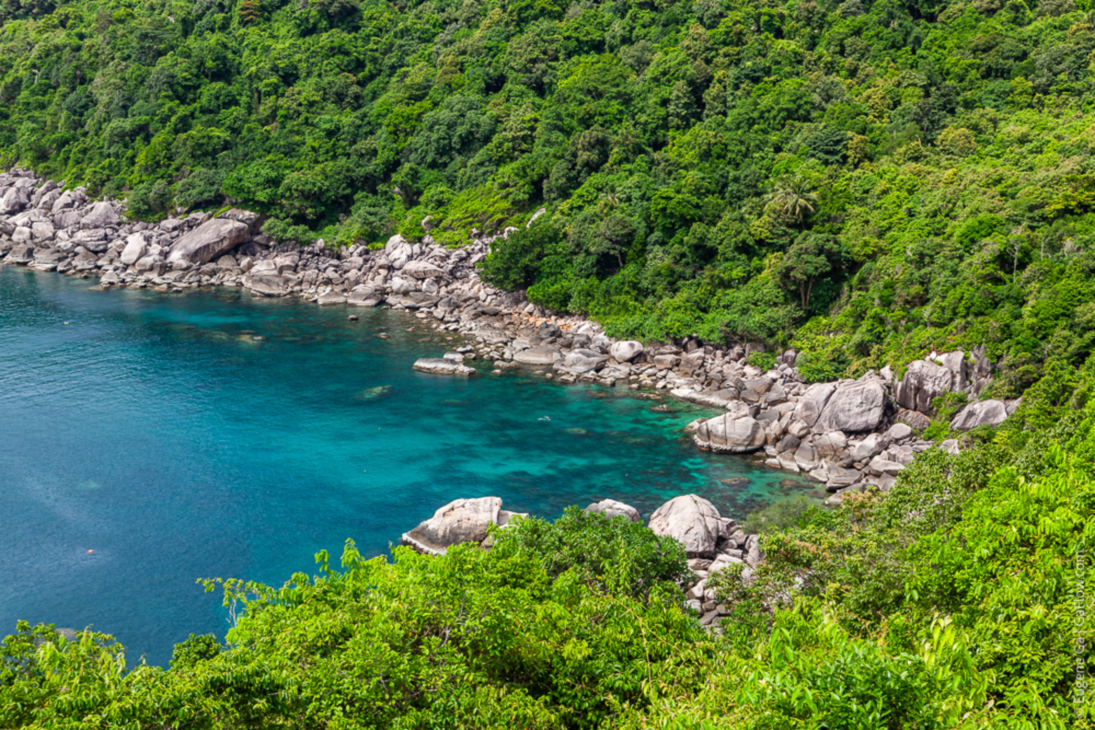 Koh Tao