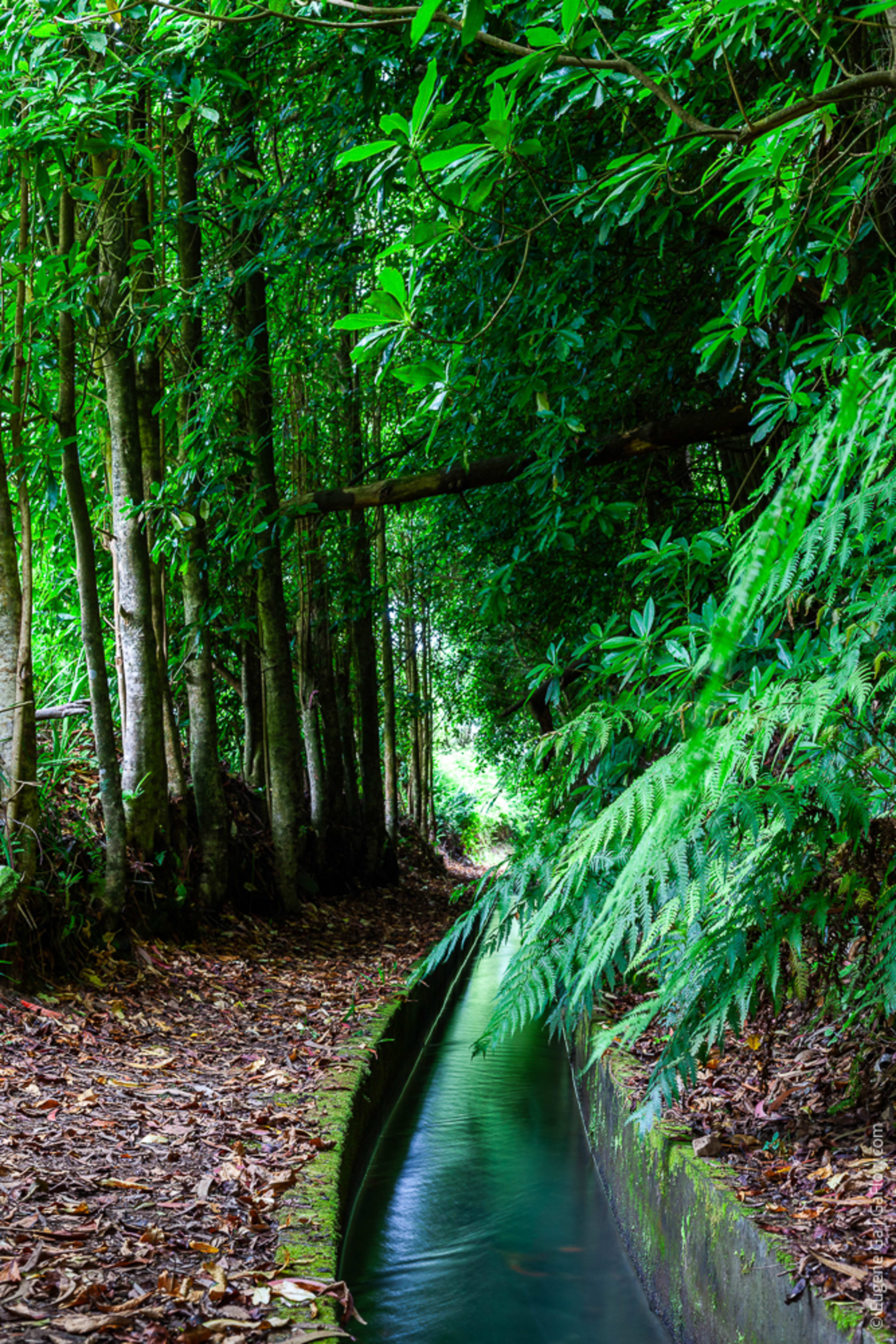 Levada