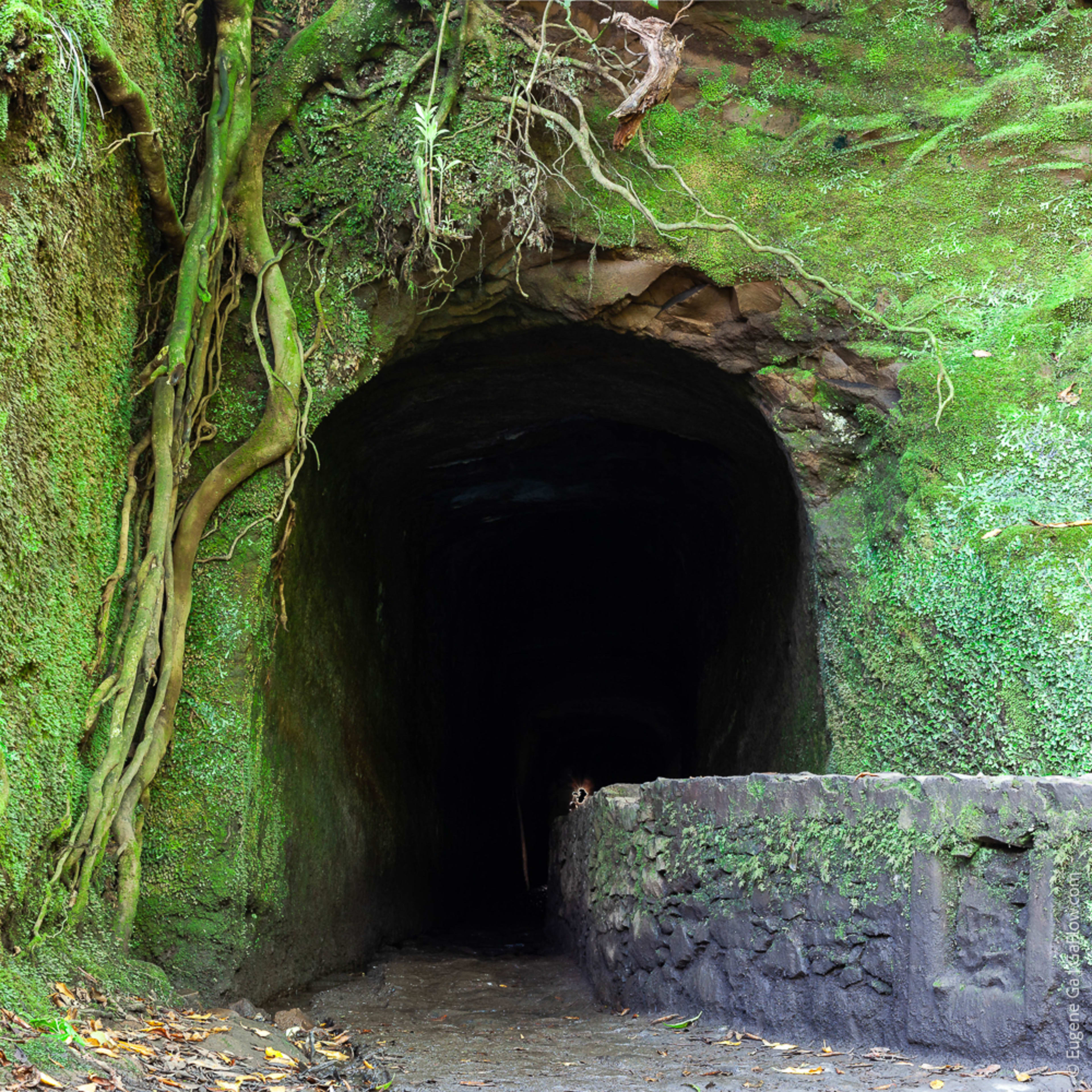 Levada Tunnel