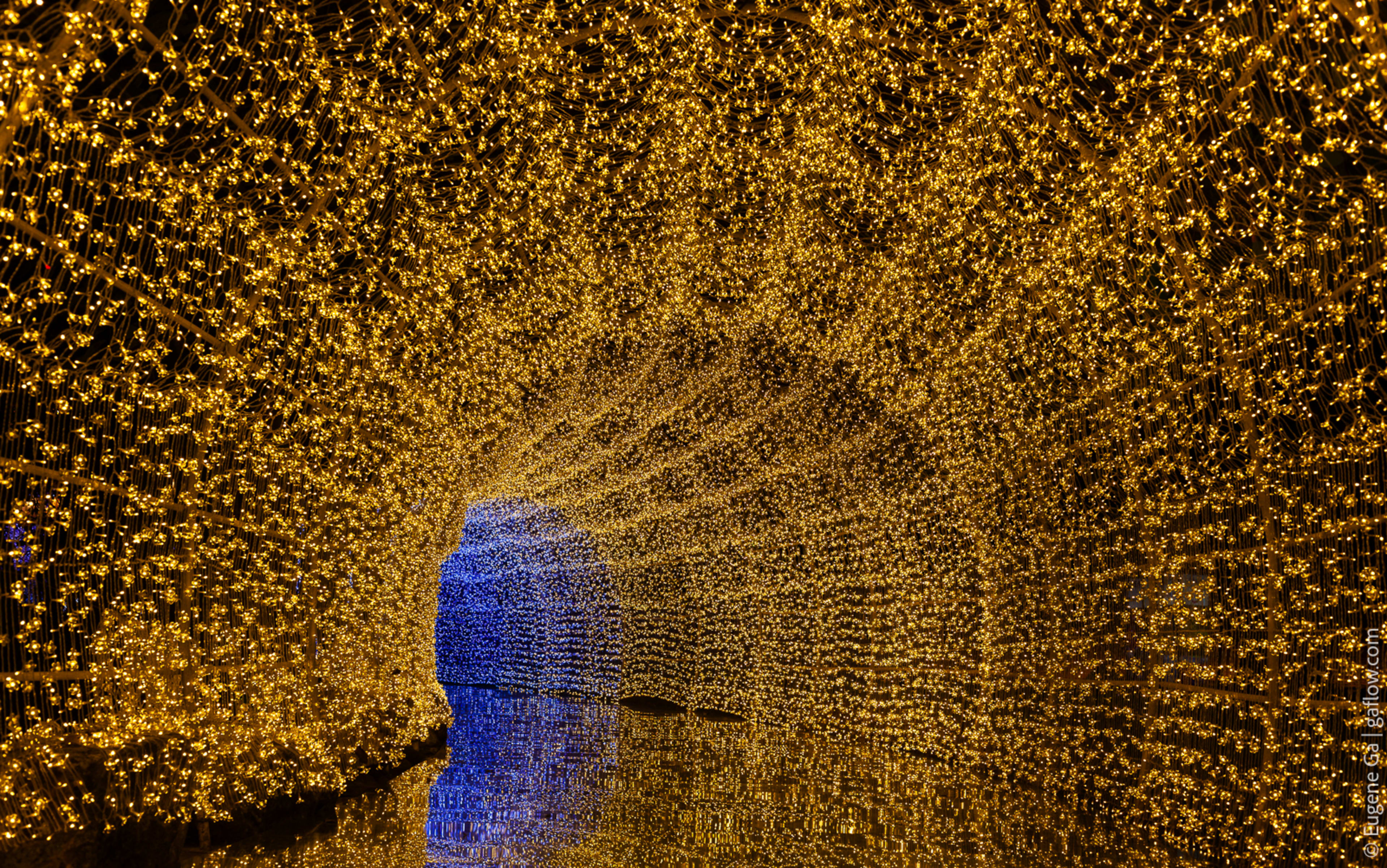 Nasatta Light Festival