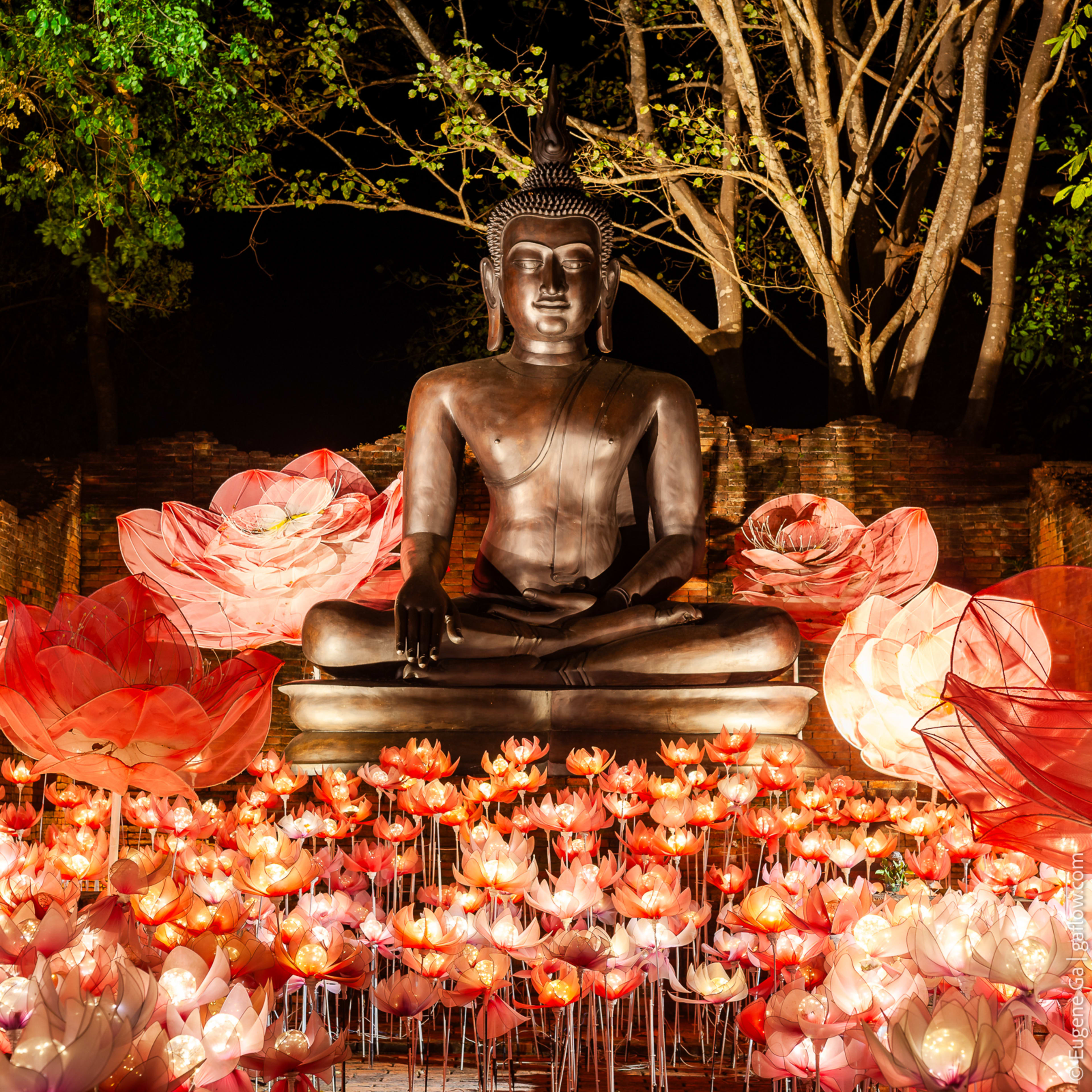 Nasatta Light Festival