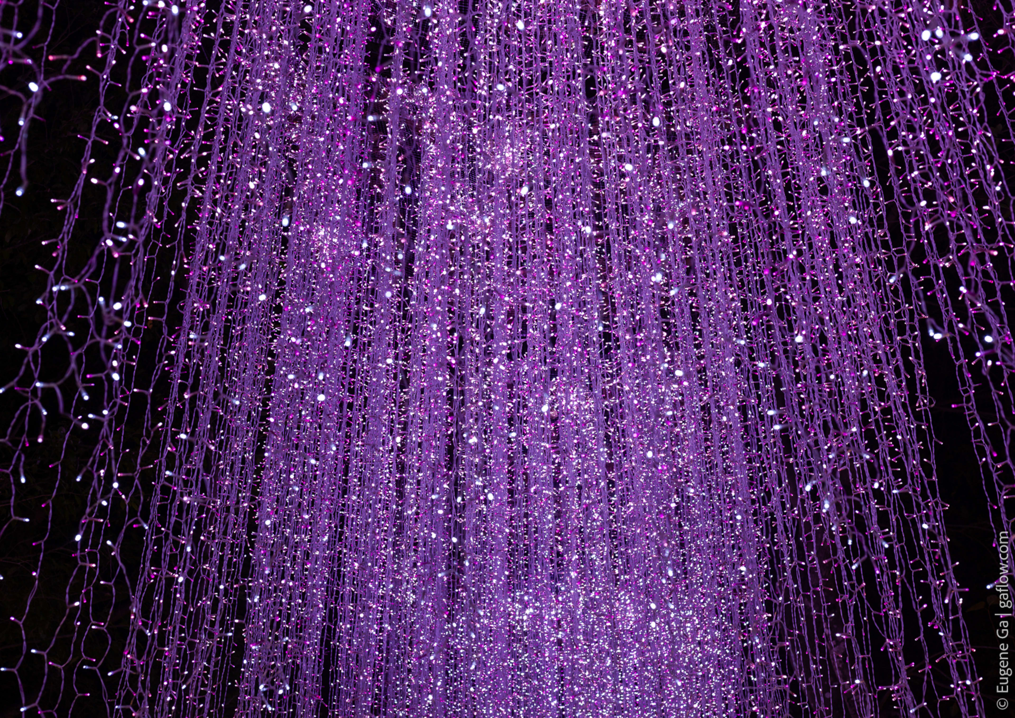 Nasatta Light Festival