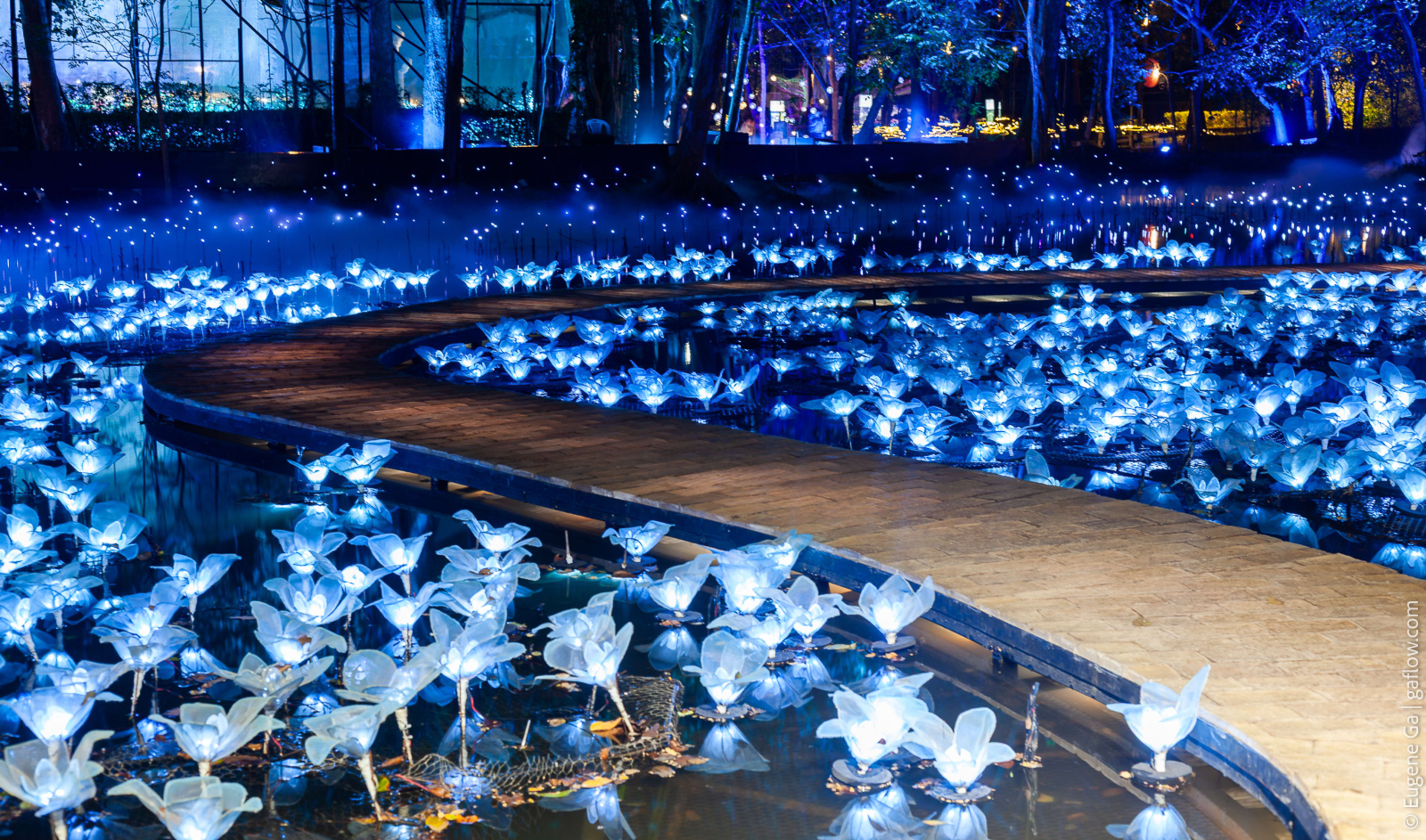 Nasatta Light Festival