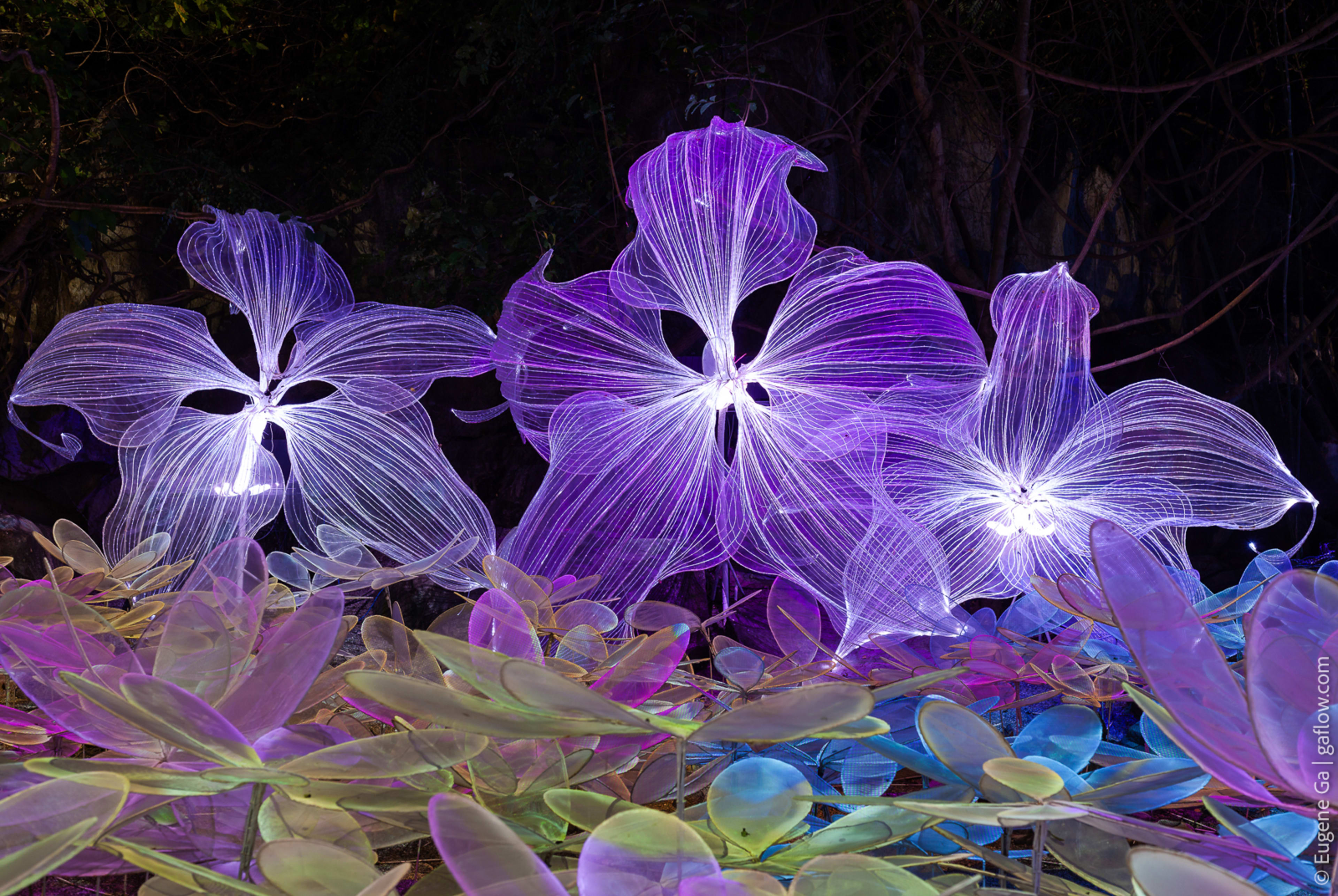 Nasatta Light Festival