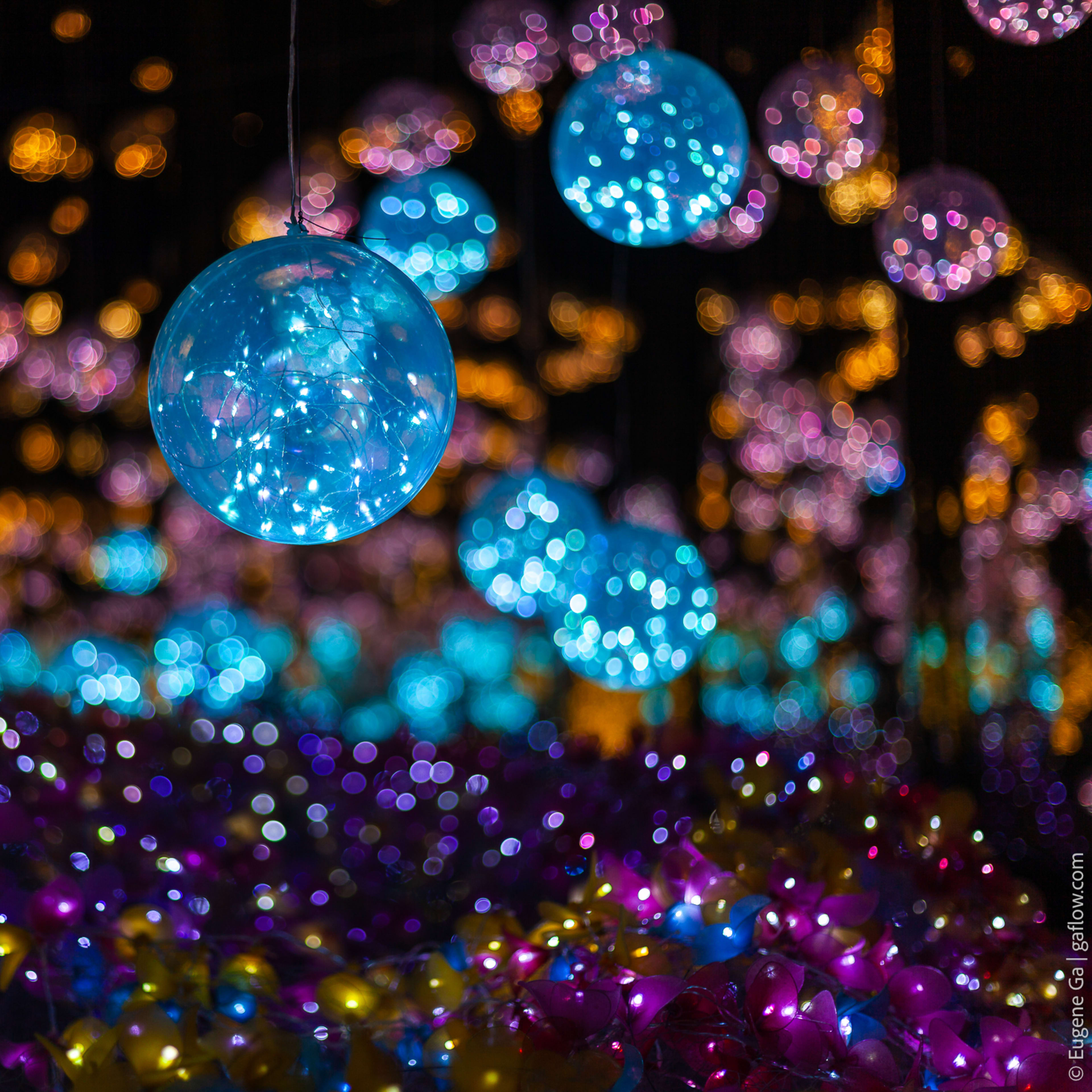 Nasatta Light Festival