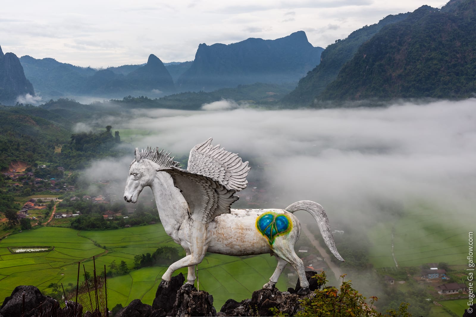 Pegasus
