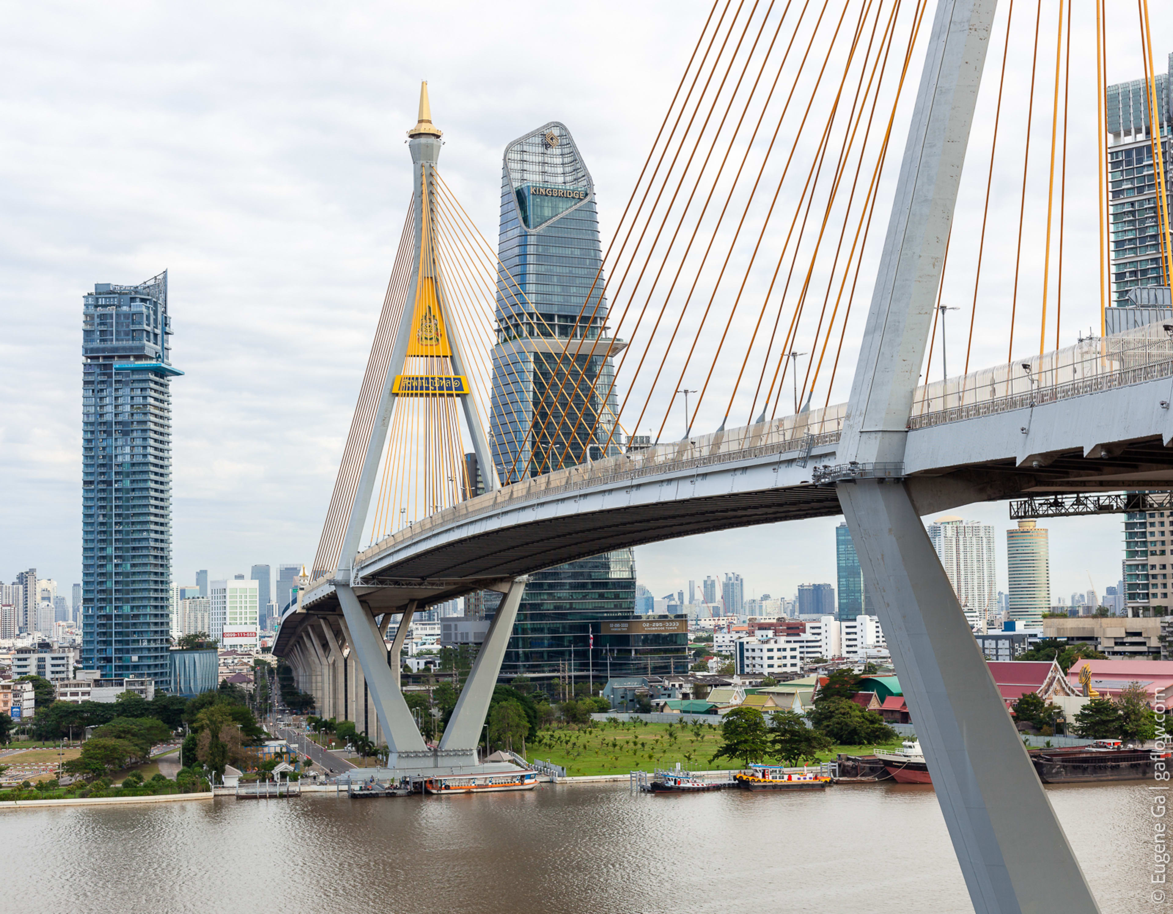 Rama VIII Bridge
