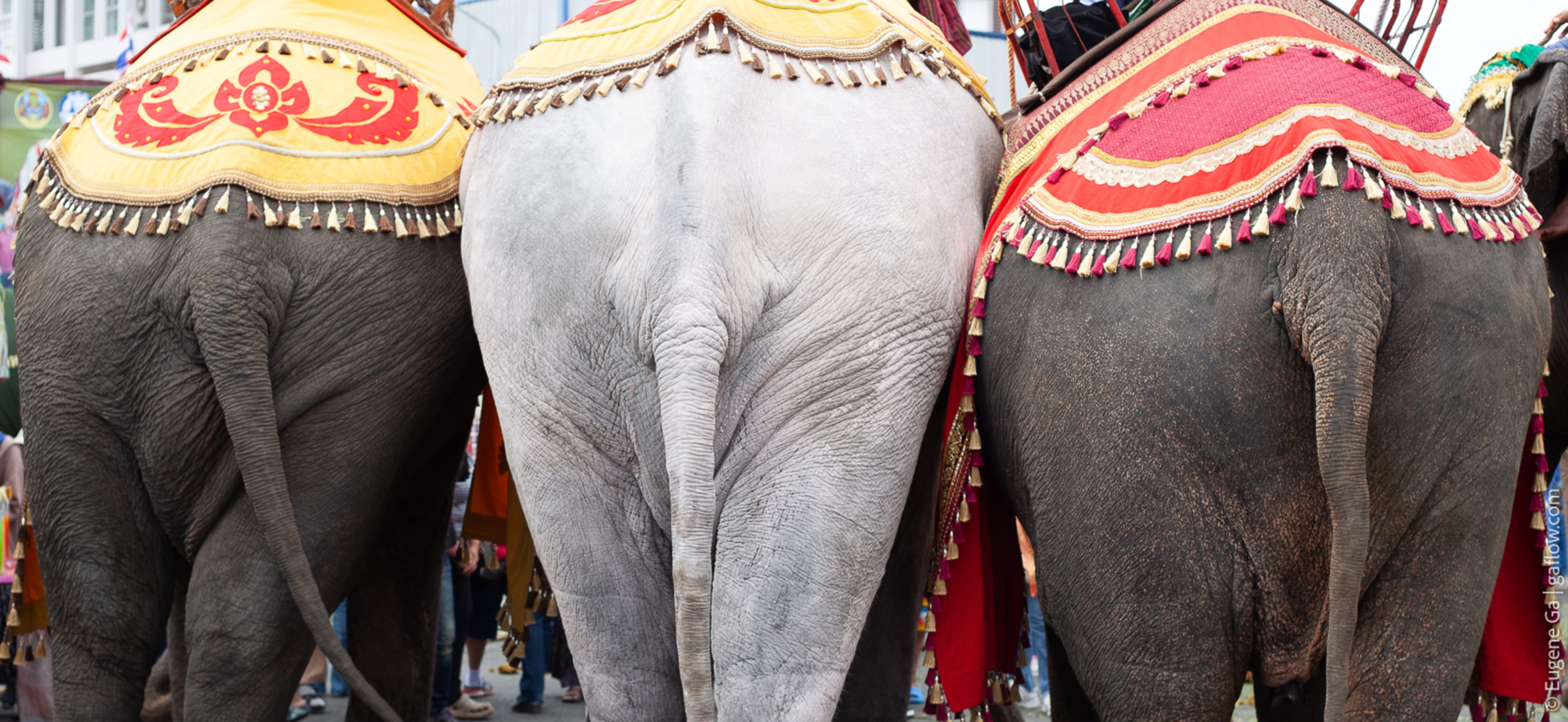 Same Same, But Different