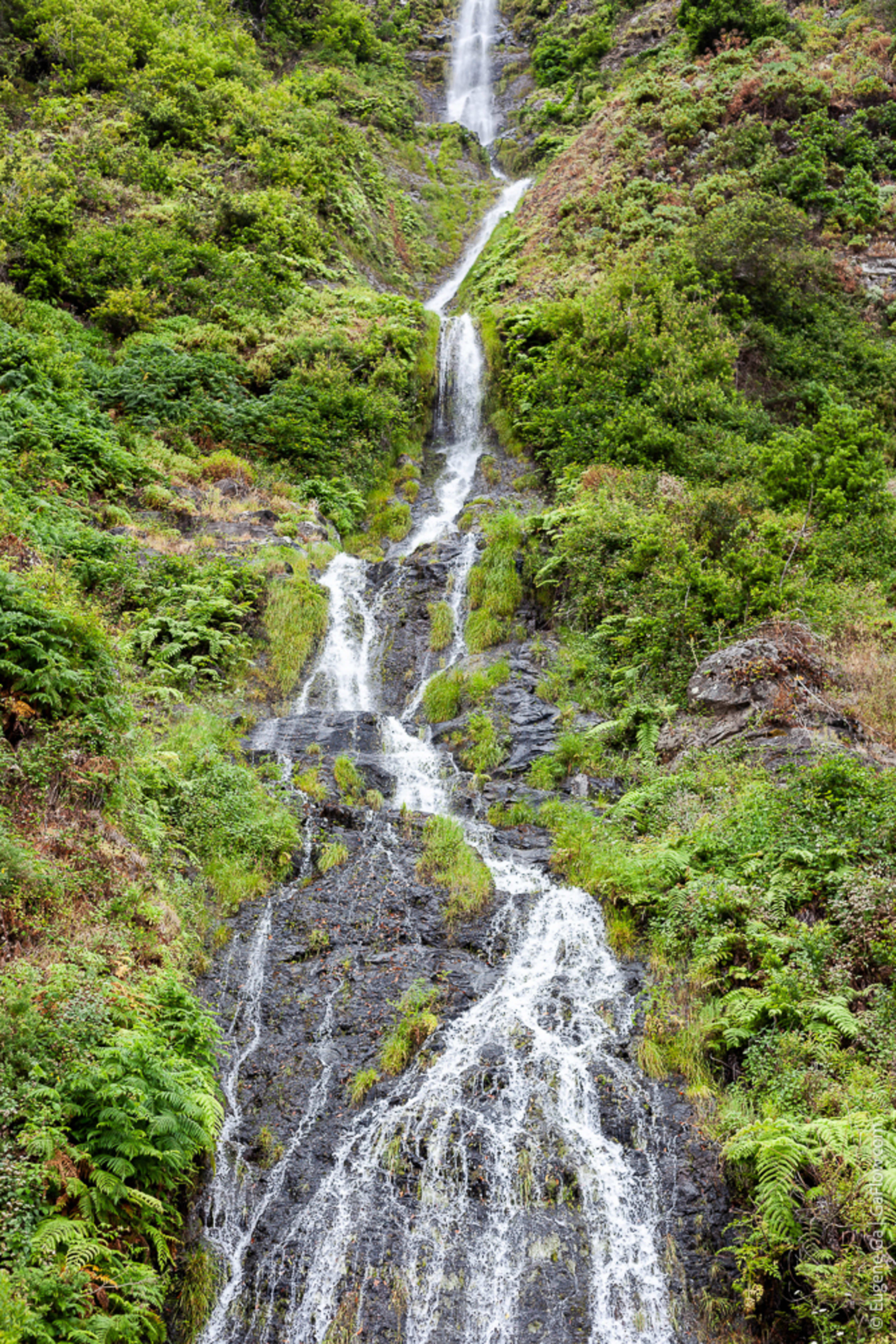 Stream