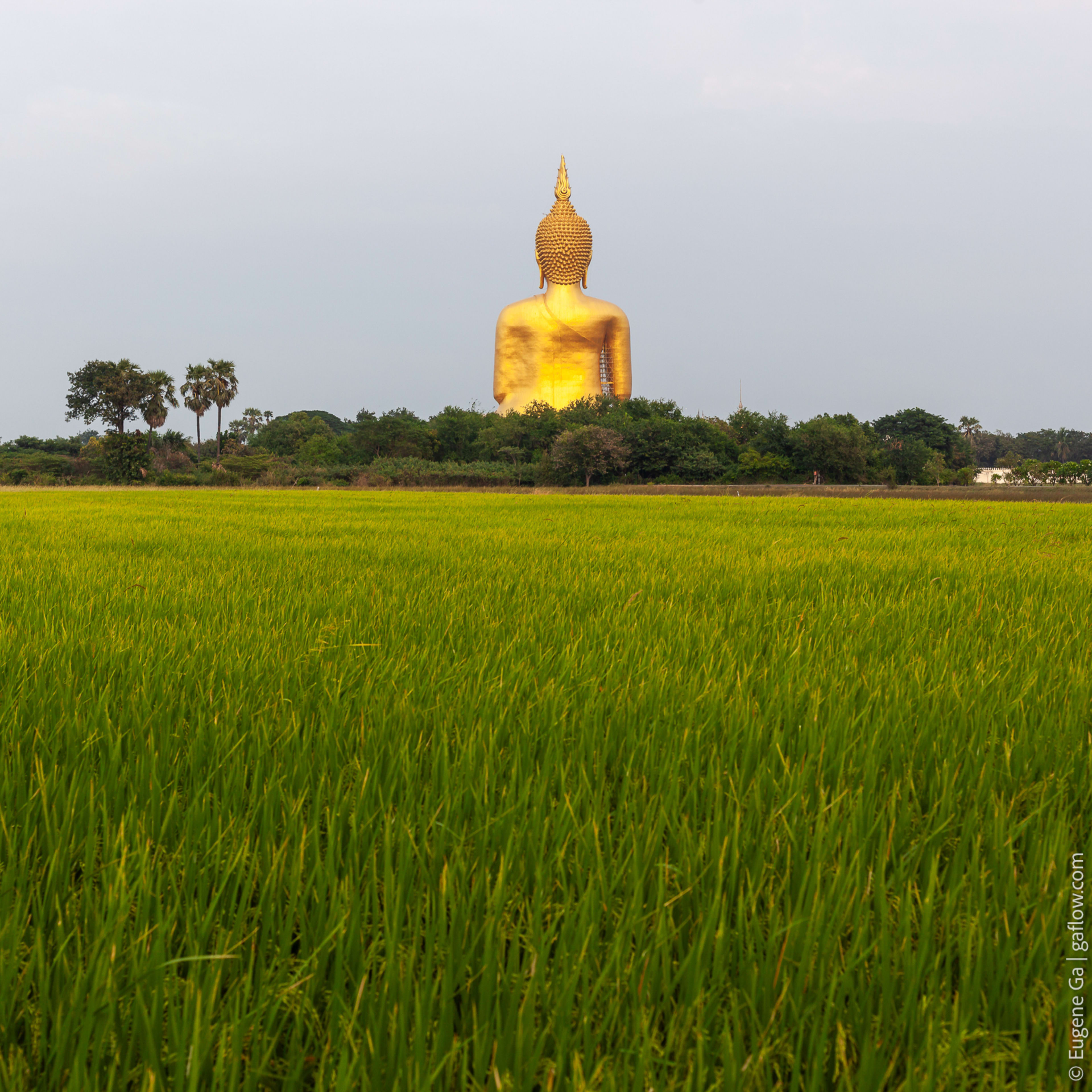 The Big Buddha