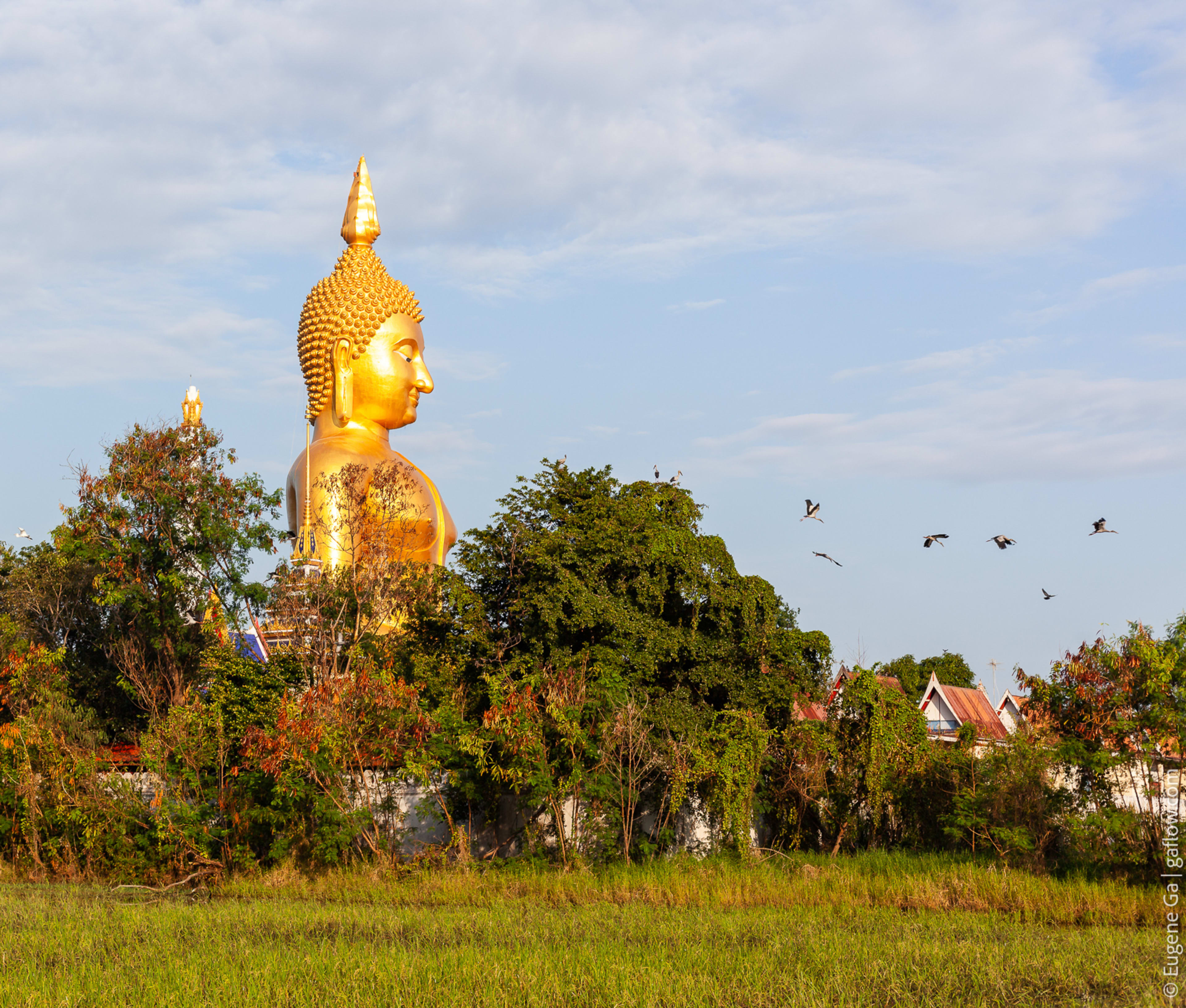 Wat Muang